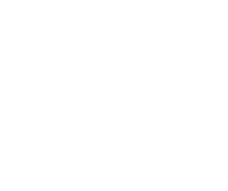 Icono de instagram